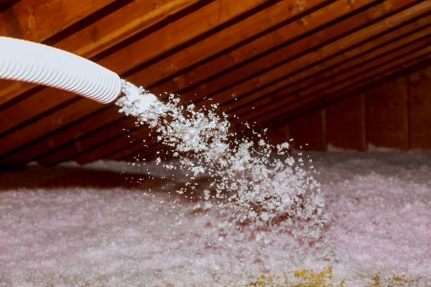 Best Geographic-Specific Insulation Services in Bellingham, WA