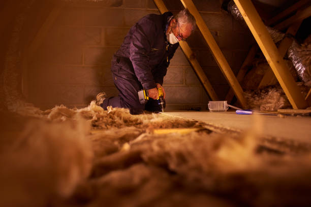 Types of Insulation We Offer in Bellingham, WA